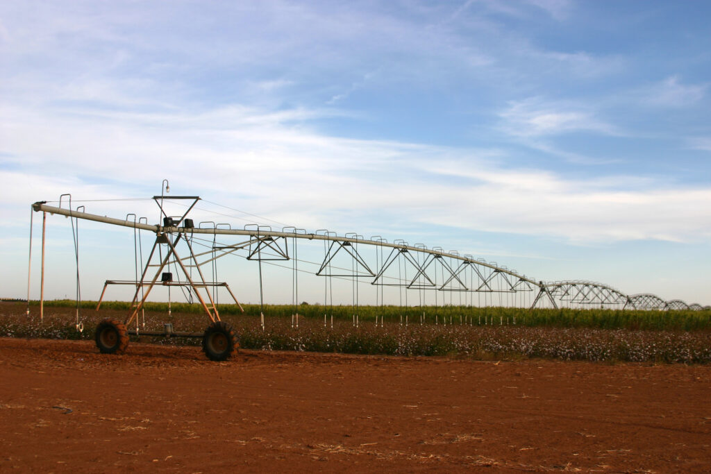 Cotton and Pivot Irrigation during the day